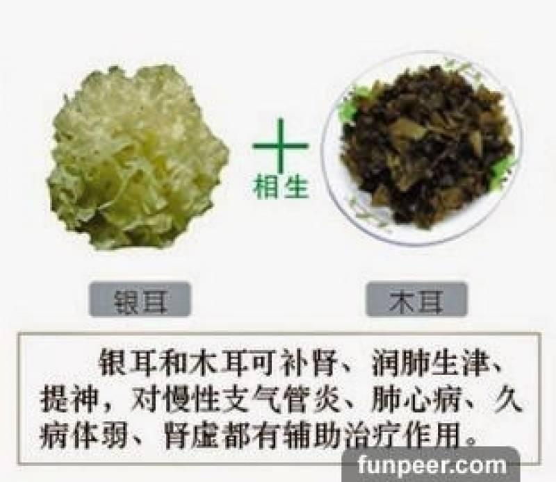 哪種食物會相剋？你一定不能不知道，別吃錯哦！快收藏