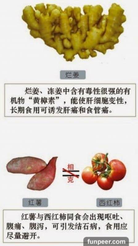 哪種食物會相剋？你一定不能不知道，別吃錯哦！快收藏