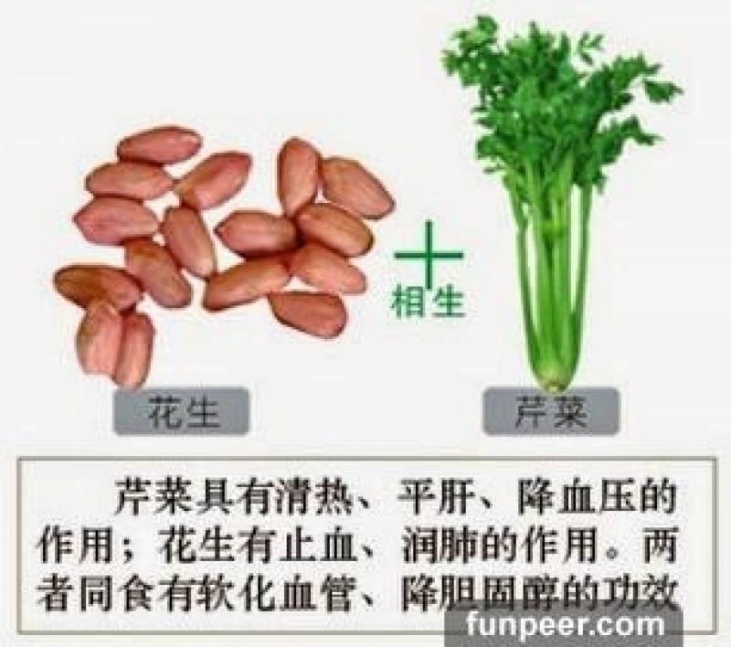 哪種食物會相剋？你一定不能不知道，別吃錯哦！快收藏