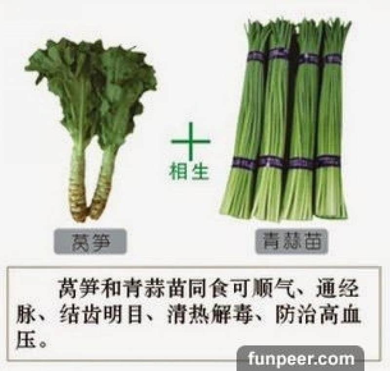 哪種食物會相剋？你一定不能不知道，別吃錯哦！快收藏