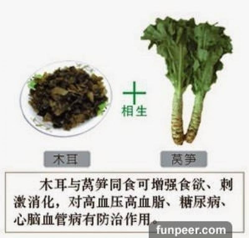 哪種食物會相剋？你一定不能不知道，別吃錯哦！快收藏