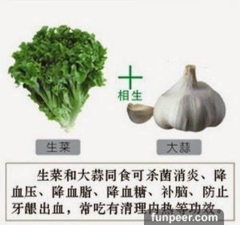 哪種食物會相剋？你一定不能不知道，別吃錯哦！快收藏