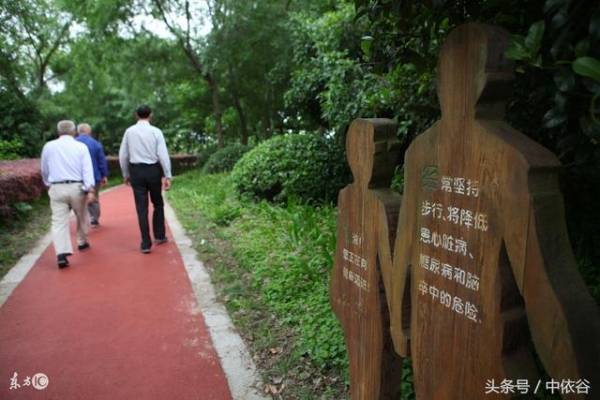 多喝水，多走路，誰告訴你這是養生，小心這些要命的養生法！