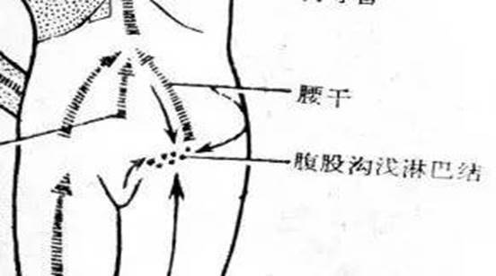 人體三處淋巴關係身體健康，老中醫分享淋巴按摩，關鍵時可能救你一命 !