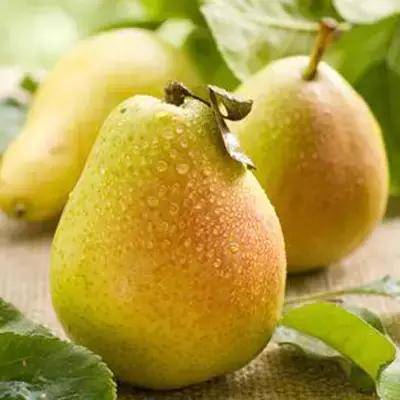 心累吃紅豆、眼睛累了吃枸杞、腦累吃堅果、腿疲勞吃什麼？你知道嗎？
