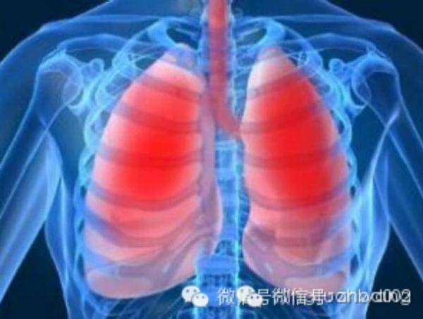 吸菸的人該吃什麼清肺？(為父親，丈夫，吸菸的朋友轉，會長壽幾十年)