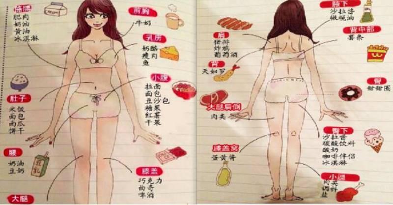 吃什麼食物，就會「胖在哪裡」？！快來看看所有部位的肥胖來源