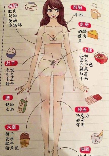 吃什麼食物，就會「胖在哪裡」？！快來看看所有部位的肥胖來源