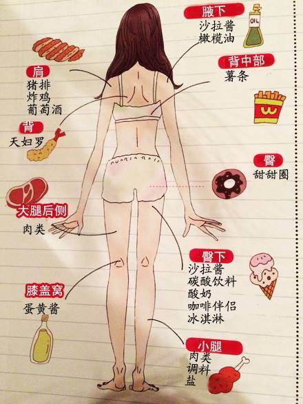 吃什麼食物，就會「胖在哪裡」？！快來看看所有部位的肥胖來源