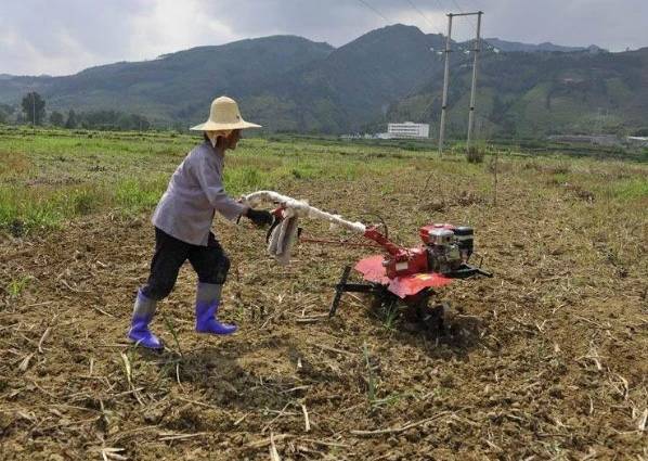 父親逼兒子每月寄一萬回家，兒子沒錢寄了，一回家卻傻了
