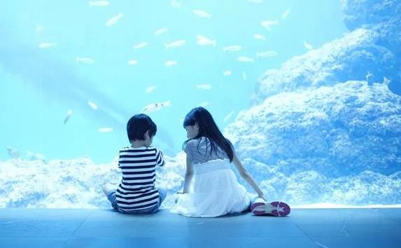 「乾道成男，坤道成女」一個家庭的風水，是靠全家人一起修來的
