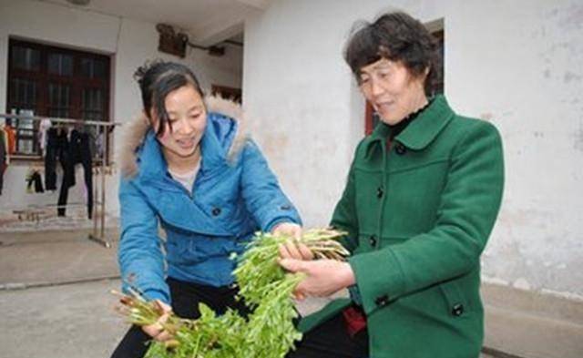 「婆婆，以後買菜不麻煩你了」「不買菜每月也要孝順我五千」