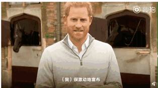 梅根世紀大卸貨，網傳雙胞胎女兒成男嬰，狸貓換太子?