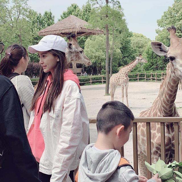 偶遇Baby攜兒子遊動物園，路人鏡頭下女神素顏很抗打！