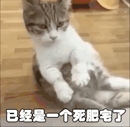 旅行居然能治病！看完發現真的該去旅行了……