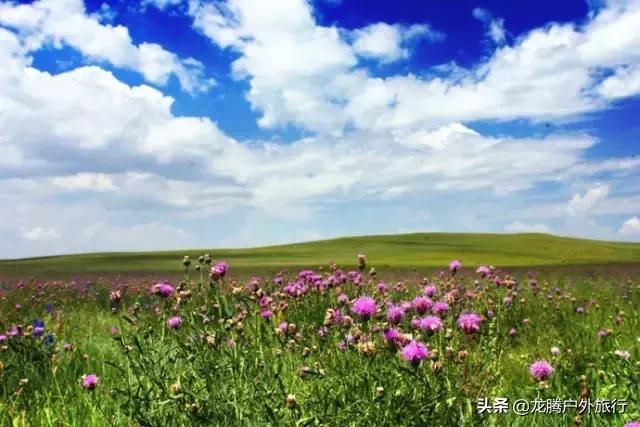 它是內蒙古隱藏天路，叫板「中國式66號公路」，美得低調鮮有人去