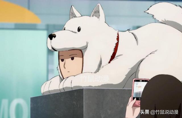 《一拳超人》四大未解之謎：警犬俠是人是狗？索尼克究竟是不是男人？