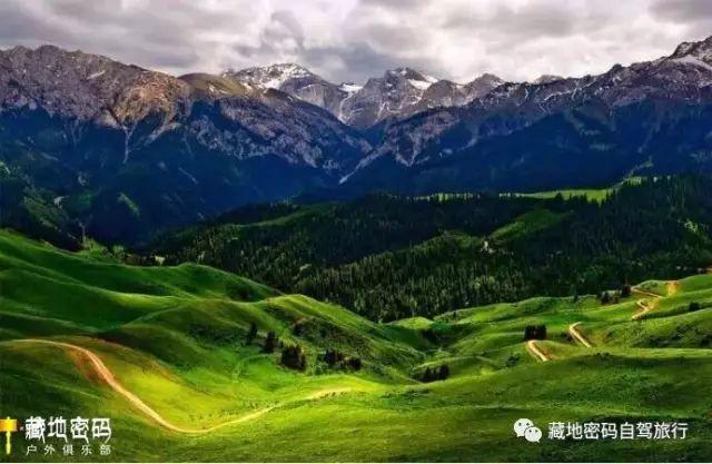 一旦去了北疆伊犁河谷，其他地方都將就了！