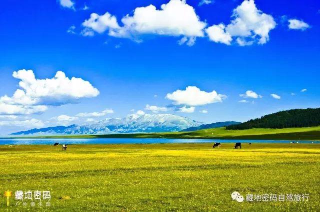 一旦去了北疆伊犁河谷，其他地方都將就了！