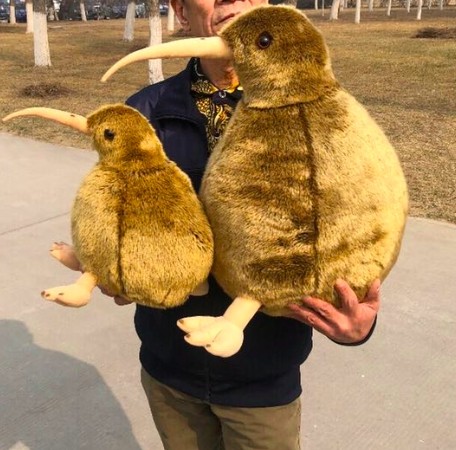 這麼圓滾滾超欠抱！　紐西蘭國寶「奇異鳥」變娃娃呆萌等收編 