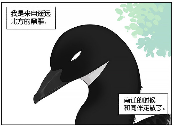 「南方的傲驕雁」遇上「北方的呆萌雀」最萌新作　下雨的超有愛反應害網友心動了！