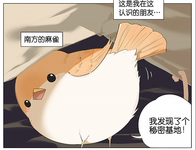 「南方的傲驕雁」遇上「北方的呆萌雀」最萌新作　下雨的超有愛反應害網友心動了！