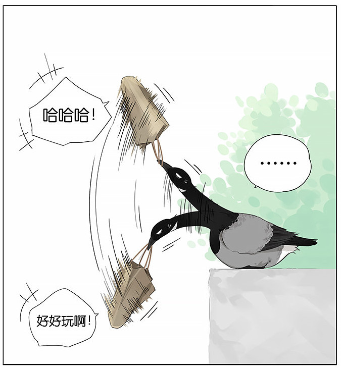 「南方的傲驕雁」遇上「北方的呆萌雀」最萌新作　下雨的超有愛反應害網友心動了！