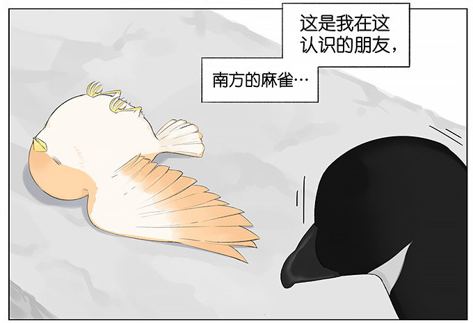 「南方的傲驕雁」遇上「北方的呆萌雀」最萌新作　下雨的超有愛反應害網友心動了！