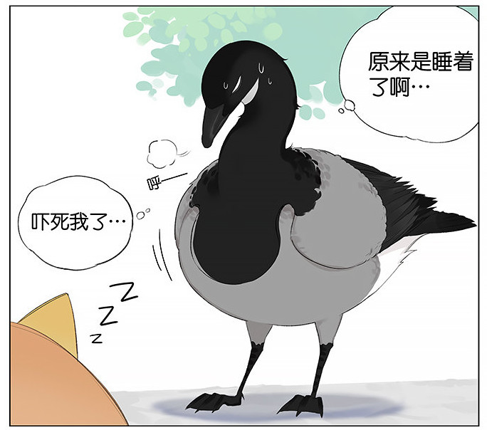 「南方的傲驕雁」遇上「北方的呆萌雀」最萌新作　下雨的超有愛反應害網友心動了！