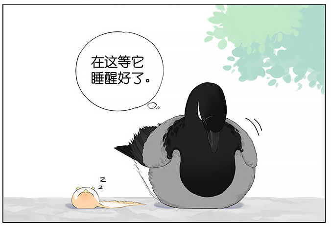 「南方的傲驕雁」遇上「北方的呆萌雀」最萌新作　下雨的超有愛反應害網友心動了！