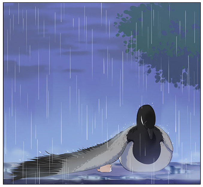 「南方的傲驕雁」遇上「北方的呆萌雀」最萌新作　下雨的超有愛反應害網友心動了！