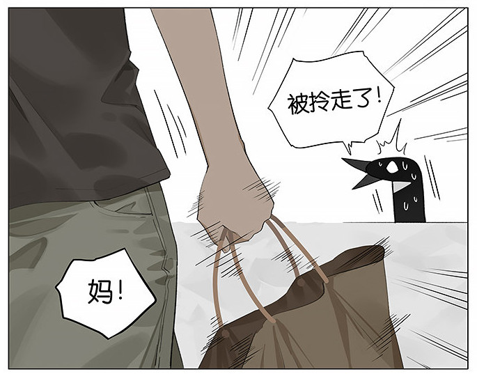 「南方的傲驕雁」遇上「北方的呆萌雀」最萌新作　下雨的超有愛反應害網友心動了！