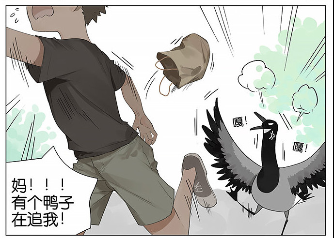 「南方的傲驕雁」遇上「北方的呆萌雀」最萌新作　下雨的超有愛反應害網友心動了！