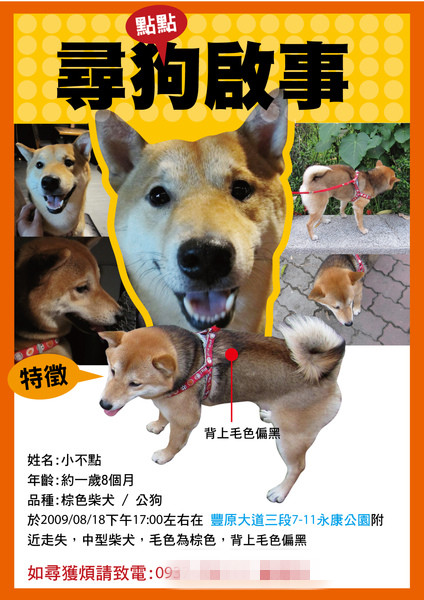 尋狗啟示貼「荒謬抽象畫」是在鬧？　數天後找回網看跪：本尊真的長這樣！ 