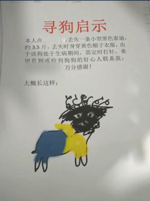 尋狗啟示貼「荒謬抽象畫」是在鬧？　數天後找回網看跪：本尊真的長這樣！ 