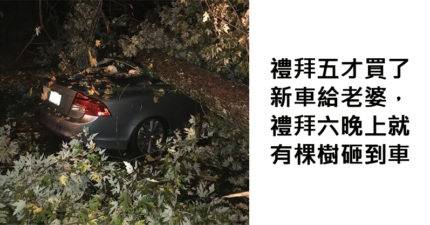 25張「老天爺已經待你不薄」悲劇照　單身也是一種罪！﻿
