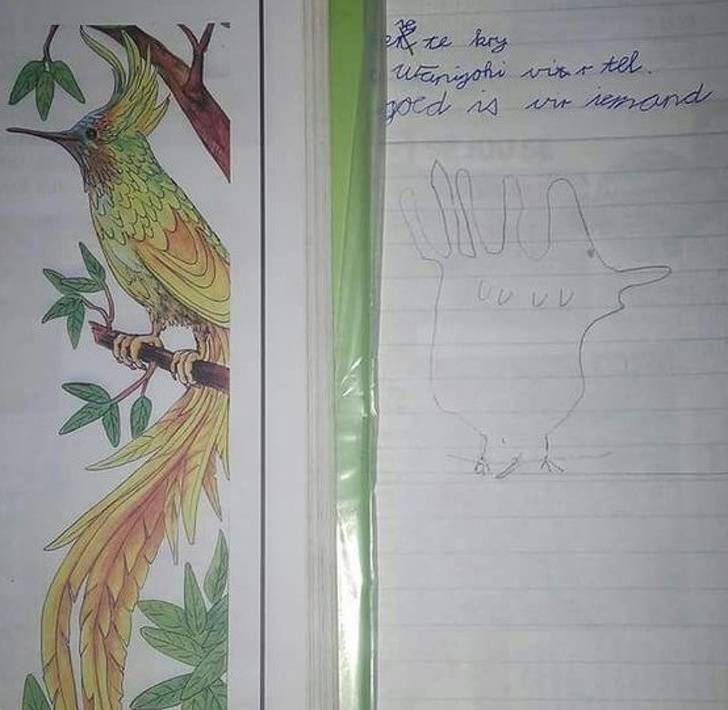 15張孩子作業的「爆笑神回覆」老師只能哭著給滿分　網笑翻：絕對是天才！﻿