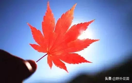 生活，適合自己就是最好的