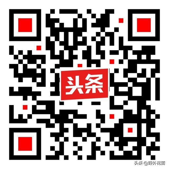 生活，適合自己就是最好的