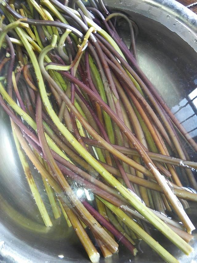 蕨菜怎麼做好吃？11種蕨菜新鮮做法大全，春天做給家人嘗嘗鮮！