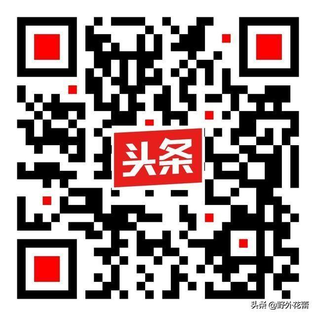 我用盡了全力，過著平凡的一生