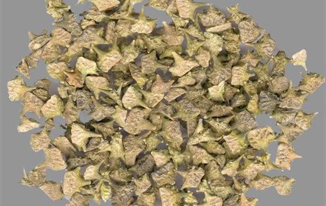 為什麼養肝可以明目？這5類中藥有助於明目，來看看你知道幾個