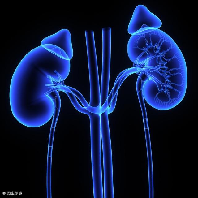 不想腎結石加速腎衰竭，飲食堅持做到「3少3多」，排石更輕鬆