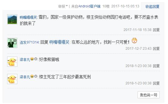 在海拔5千米的地方撿了只貓，網友：這看著像雪豹啊？得報110了