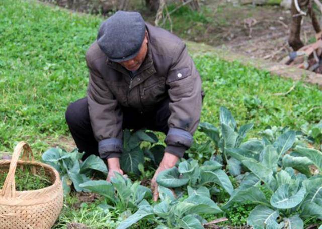 小兒開公司，父親卻住大兒家不肯走，病危中吐露實情，大兒知錯