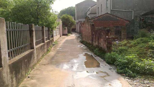 小兒開公司，父親卻住大兒家不肯走，病危中吐露實情，大兒知錯
