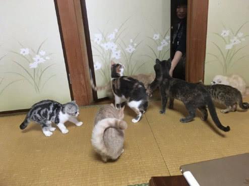 現實版解憂雜貨店，不用寫信，只需住一晚……