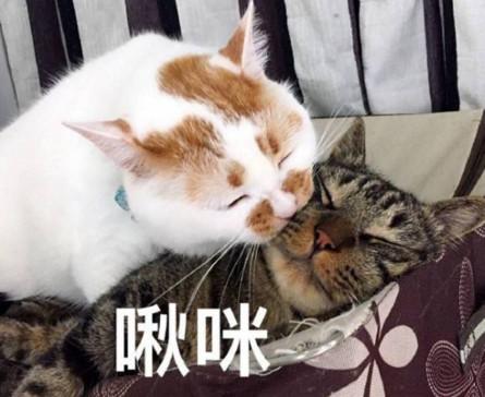 現實版解憂雜貨店，不用寫信，只需住一晚……