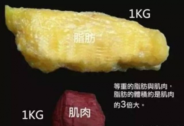 2019年女性體重標準對比表！別傻傻減肥，也許你不胖