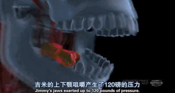 人類的1000種死法，真實版死神來了！|1000種死法 第六季 ！